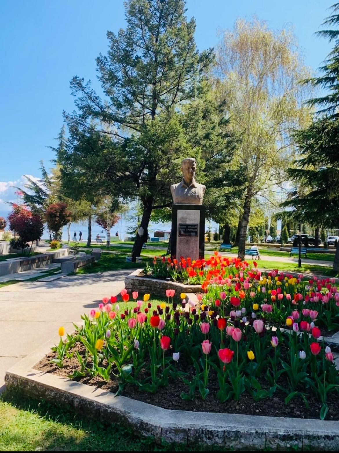 Apartament Charming House Pogradec Zewnętrze zdjęcie